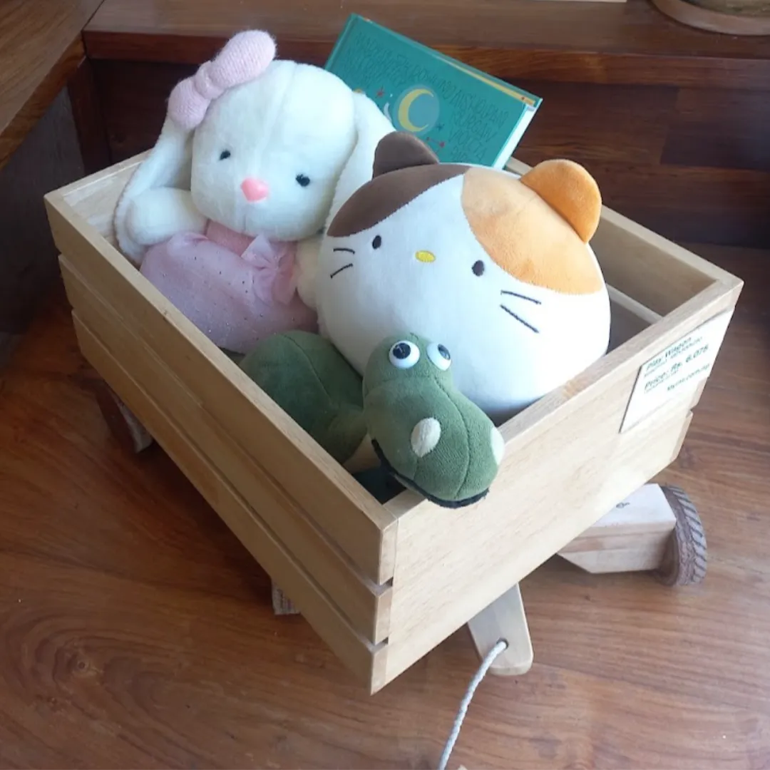 Play wagon